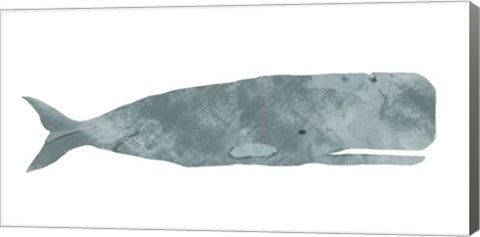 Framed Whale Print