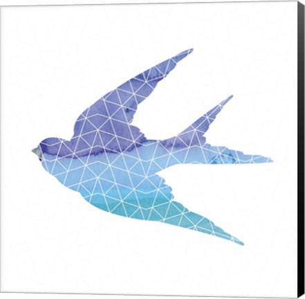 Framed Swallow Print