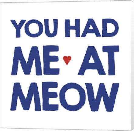 Framed Crazy Meow Print