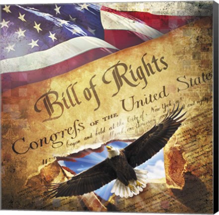 Framed Bill of Rights Eagle Bursting Out Print