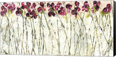 Framed Sweet Pea Garden Print