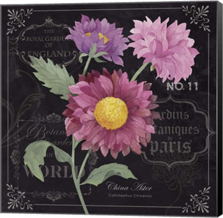 Framed Aster Print