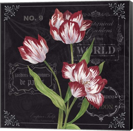 Framed Tulips Print