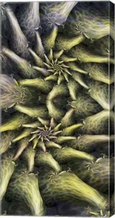 Framed Nest Print