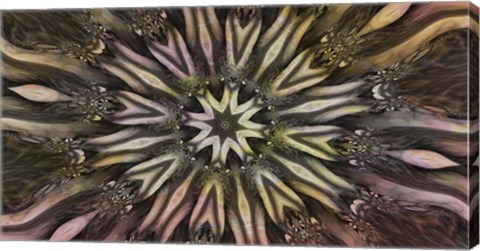 Framed Sacred Circle Print