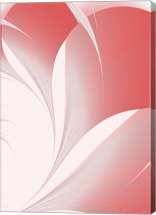 Framed Petals II Print