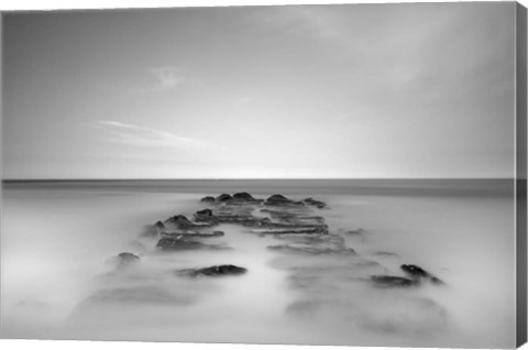 Framed Borne Back Print