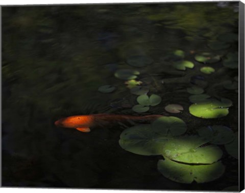 Framed Sounding Print