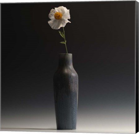 Framed Matalija Print