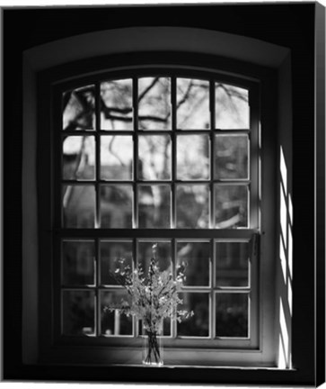 Framed Old Pine Church Print