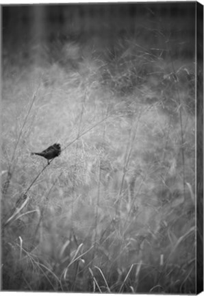 Framed Urban Meadow Print