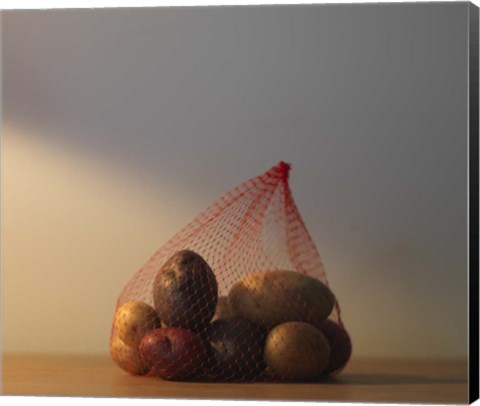 Framed Captivity Print