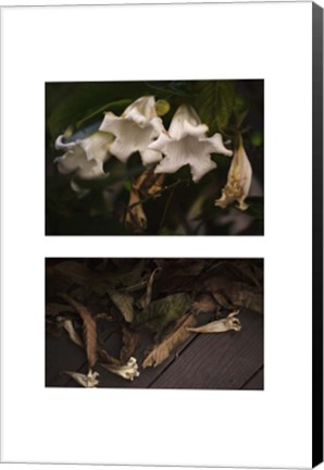 Framed Gravity - Only a Theory Print