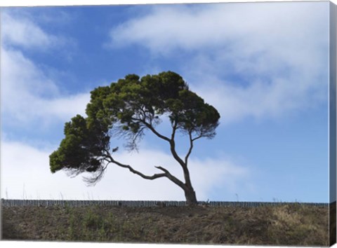 Framed Guilty Remnant (Polychrome) Print