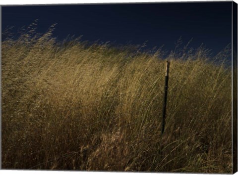 Framed Panhandle Print