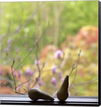 Framed Still Life with Pears and the Magnolia Trees Beyond Print