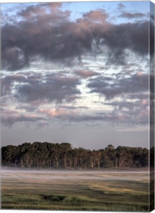 Framed Sublimation Print