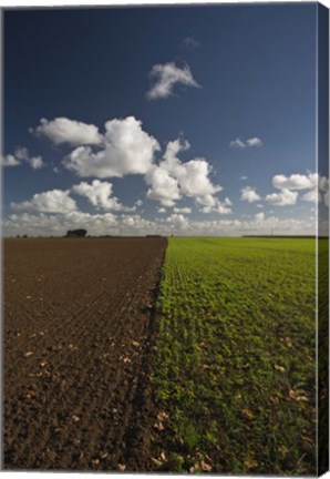 Framed Apres la Guerre Print