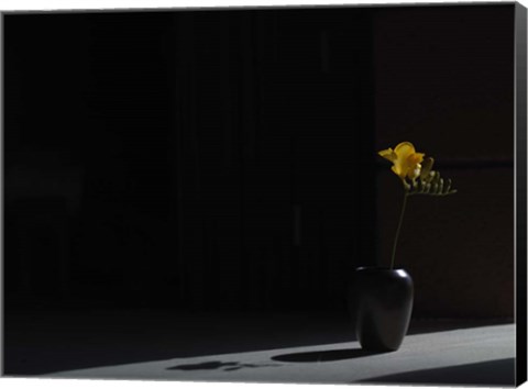 Framed Void (Still Life in Moonlight) Print