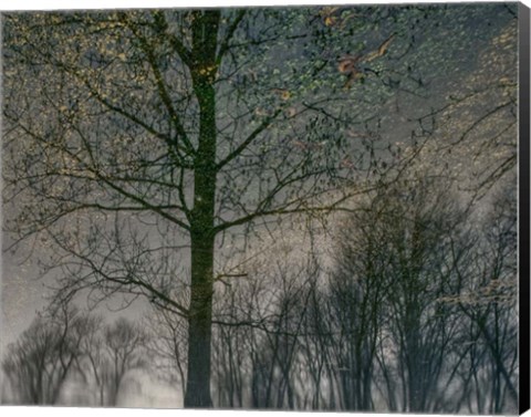 Framed Your Luck Pushes Back Print