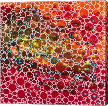 Framed Dimension 19 Print