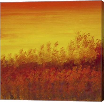 Framed Views of Nature 12 Print