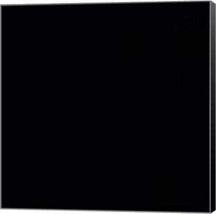 Framed Prince 3 Print