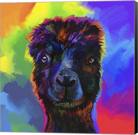 Framed Pop Art - Alpaca Print
