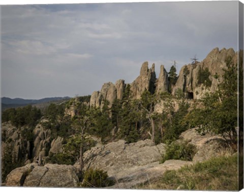 Framed Needles Hwy 2, SD Print