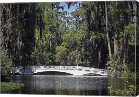 Framed Magnolia Gardens 1 Print