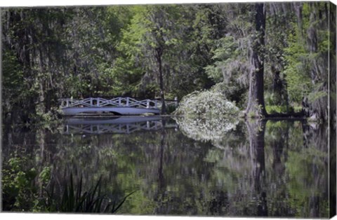 Framed Magnolia Gardens 2 Print