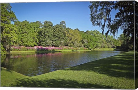 Framed Middleton Place 1, SC Print