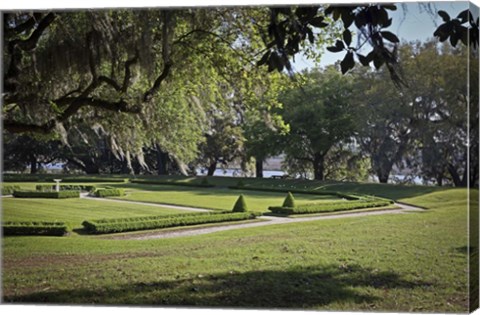 Framed Middleton Place 2, SC Print