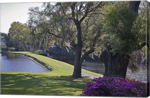 Framed Middleton Place 3, SC Print