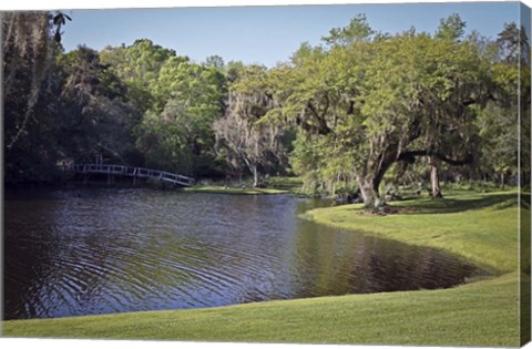 Framed Middleton Place 4, SC Print