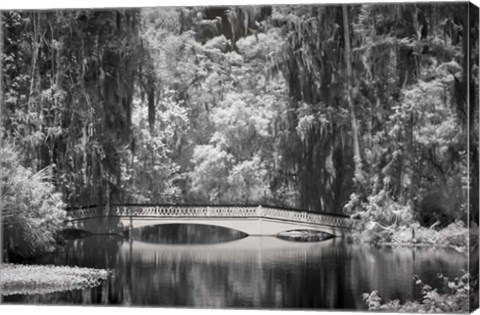 Framed Magnolia Gardens B&amp;W Print