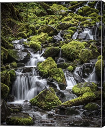 Framed V Olympic NP Print