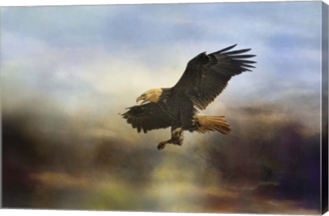 Framed Dramatic Entrance Print