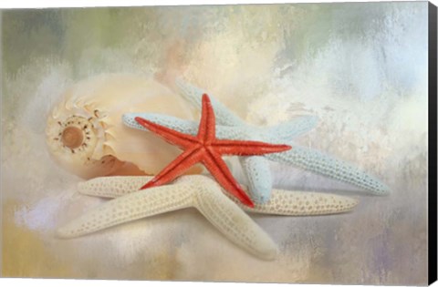 Framed Gifts From The Sea Print