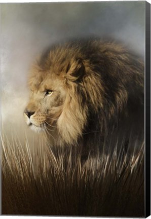 Framed Here Comes The Kind Print