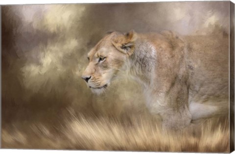 Framed Lioness In Spring Print