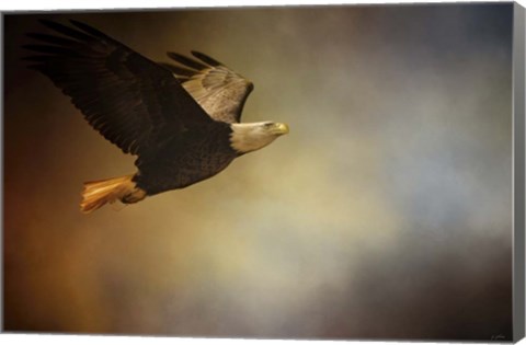 Framed Magnificence Print