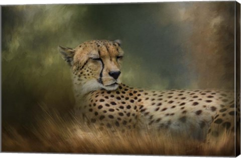 Framed Napping In The Brush Print