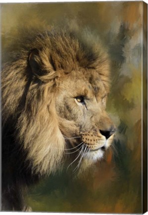 Framed Spring Lion 2 Print