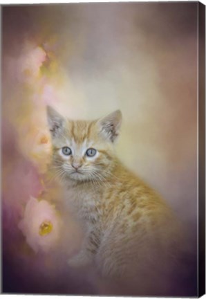 Framed Sweet Moment 1 Print