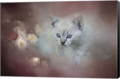 Framed Sweet Moment 3 Print