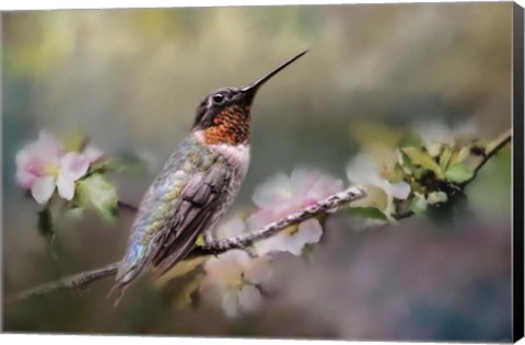 Framed Garden Guardian Print