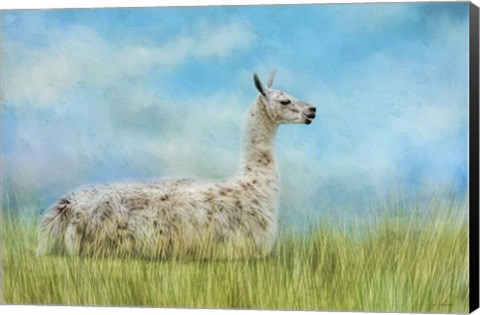 Framed Just Chillin Print