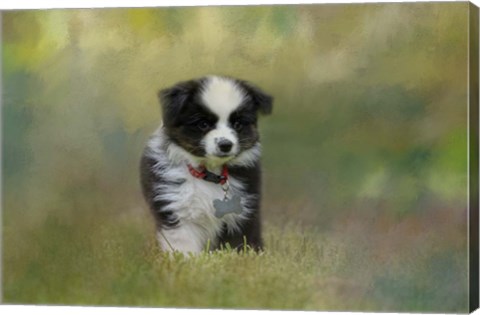 Framed Puppyhood 1 Print