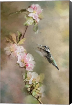 Framed Seeking Nectar Print